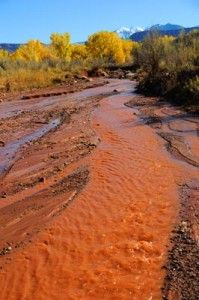 Onion Creek in the Fall - Moab